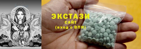 гидра Ельня