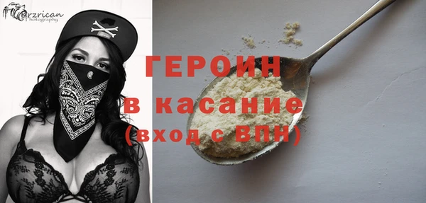 гидра Ельня