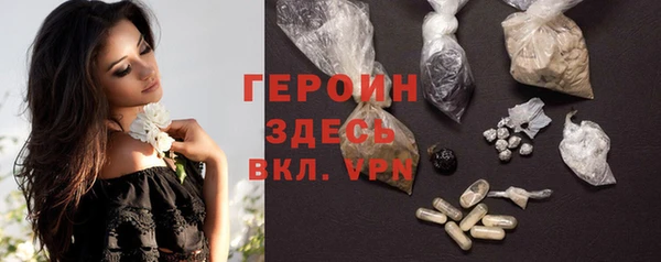 гидра Ельня
