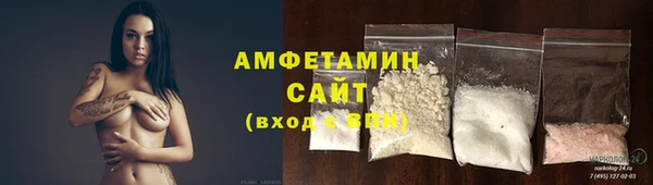 гидра Ельня