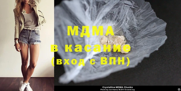 гидра Ельня